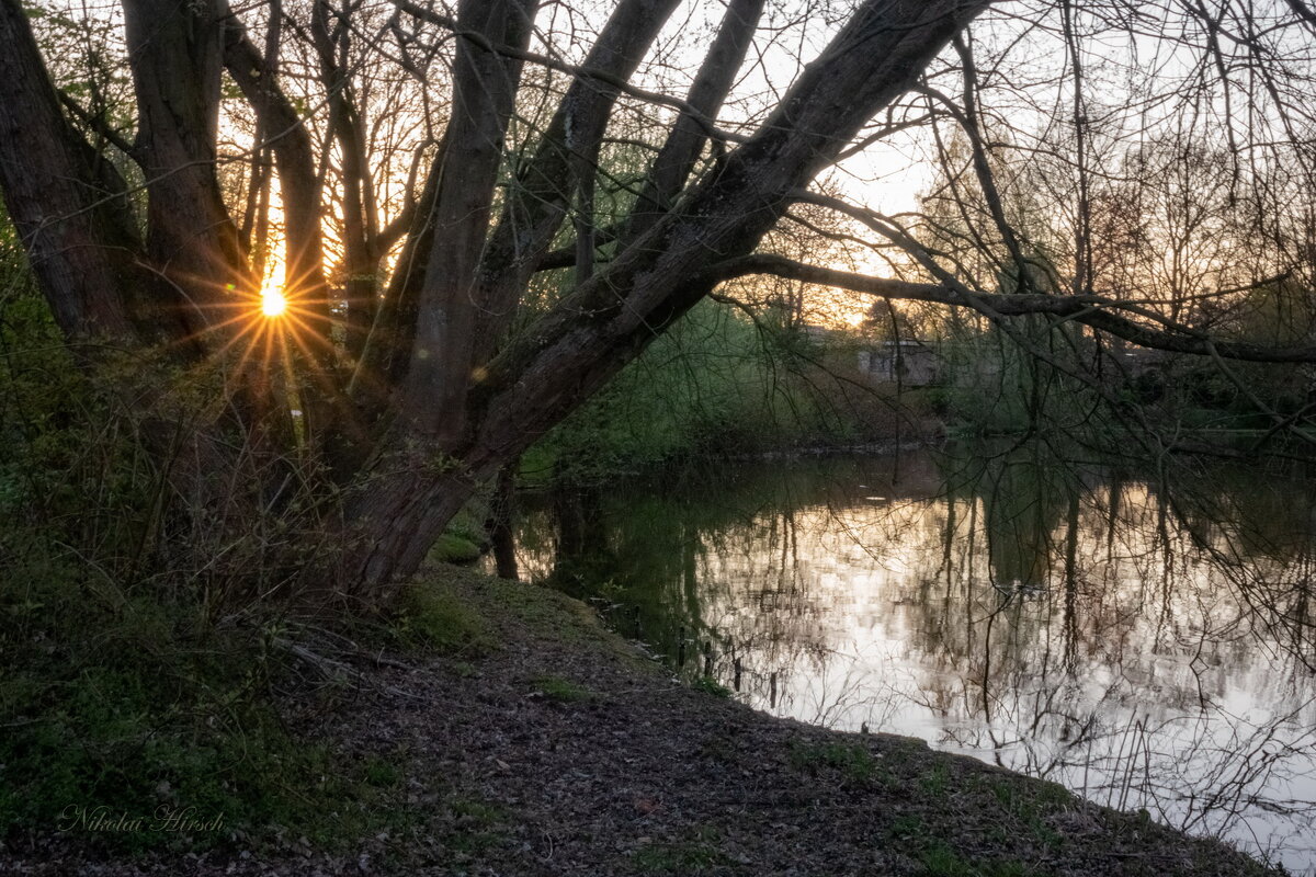 Последние лучи... - Николай Гирш