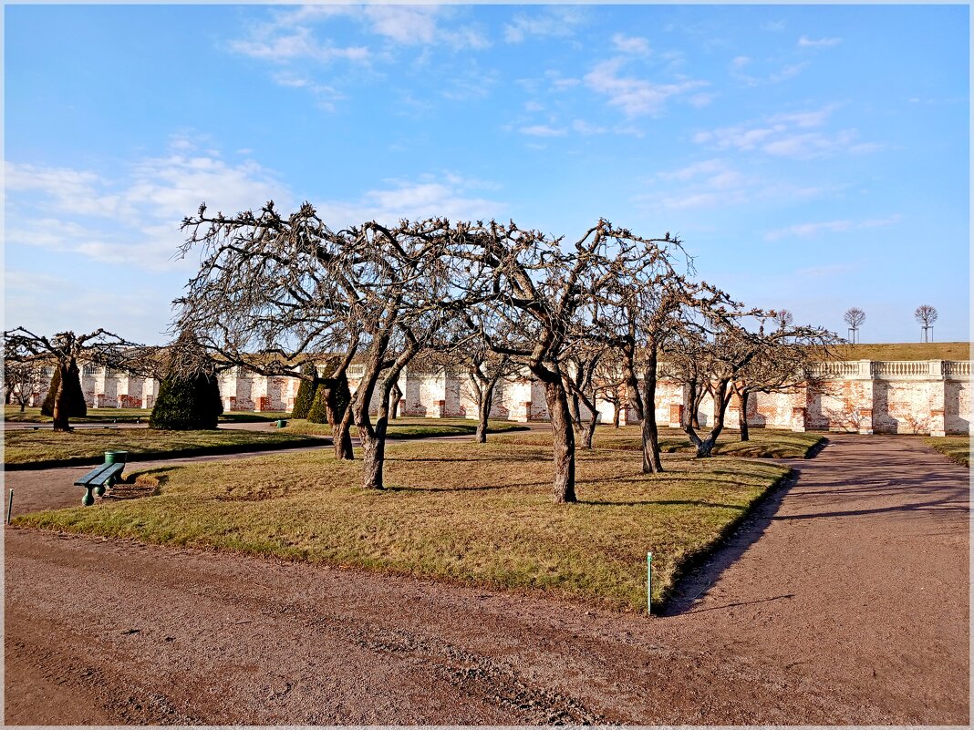 Марлинский сад. - Лия ☼