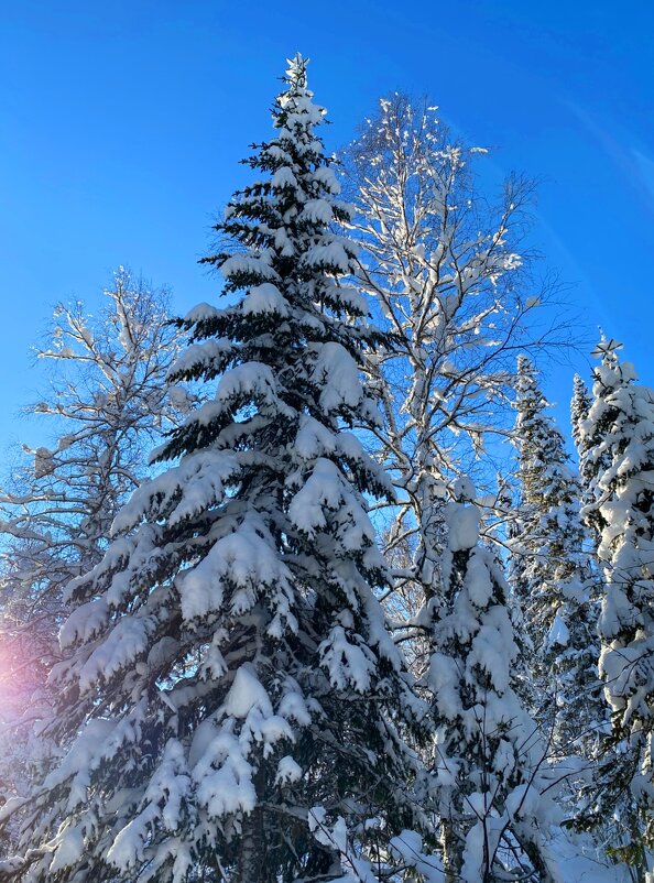 Шерегеш - Таня Фиалка
