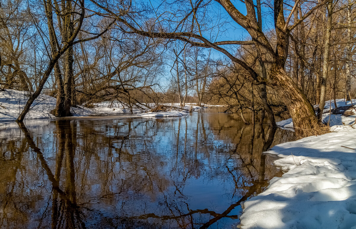Вешние воды 2 - Андрей Дворников