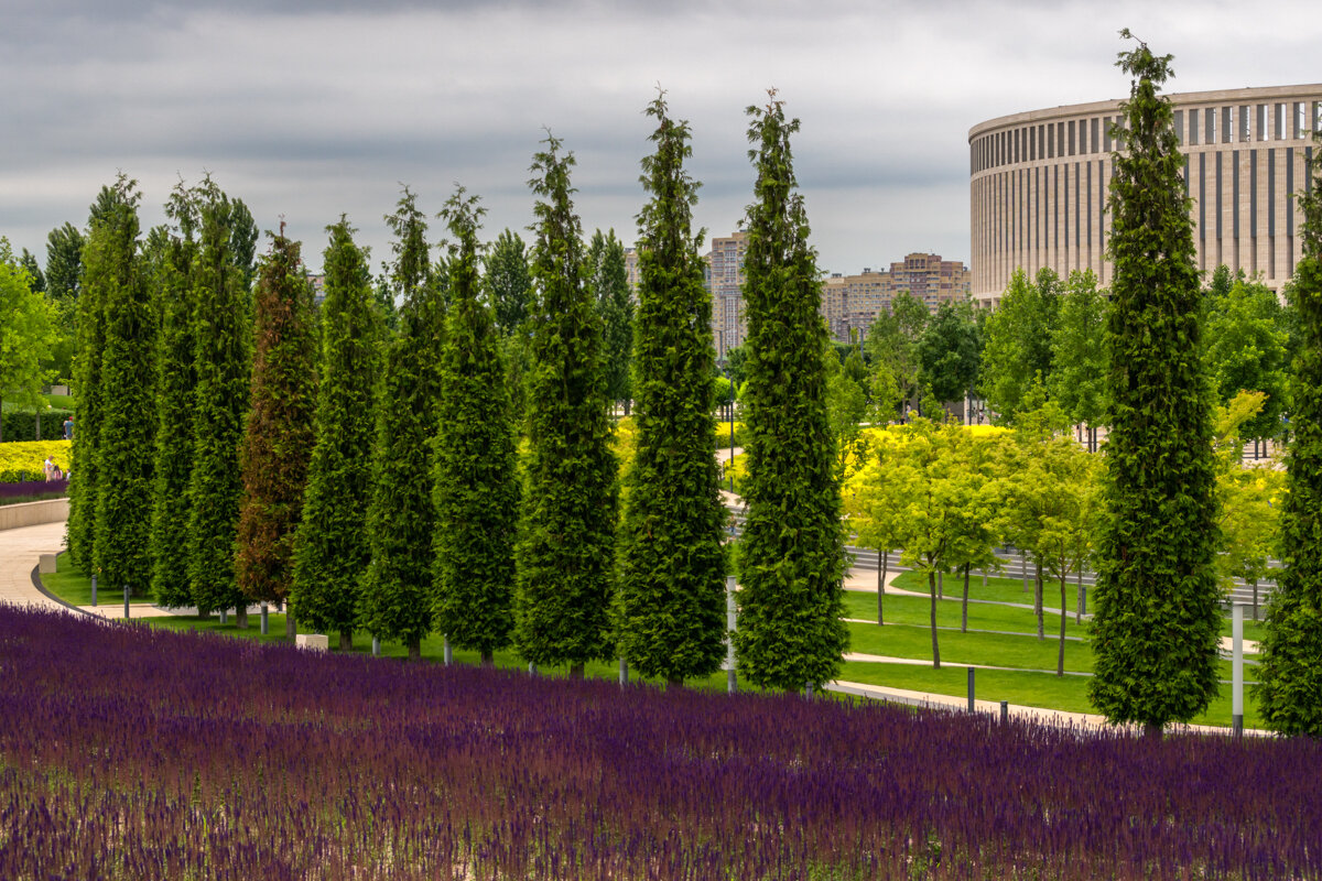 Парк Галицкого в городе Краснодар - Игорь Сикорский