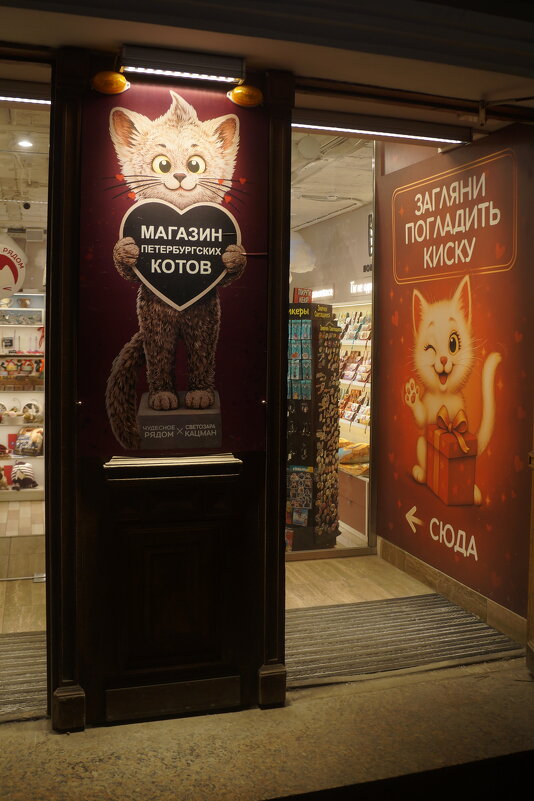 загляни погладь киску :) - zavitok * загляни погладь киску :) - zavitok *