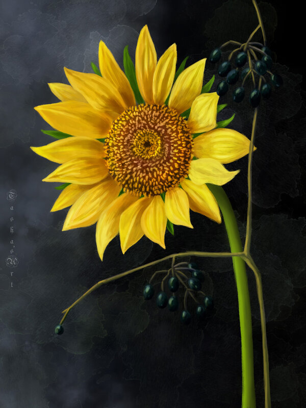 Подсолнух - Наталия Львова Подсолнух - Наталия Львова