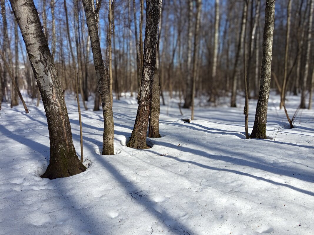 Март, которого жду целый год - Андрей Лукьянов