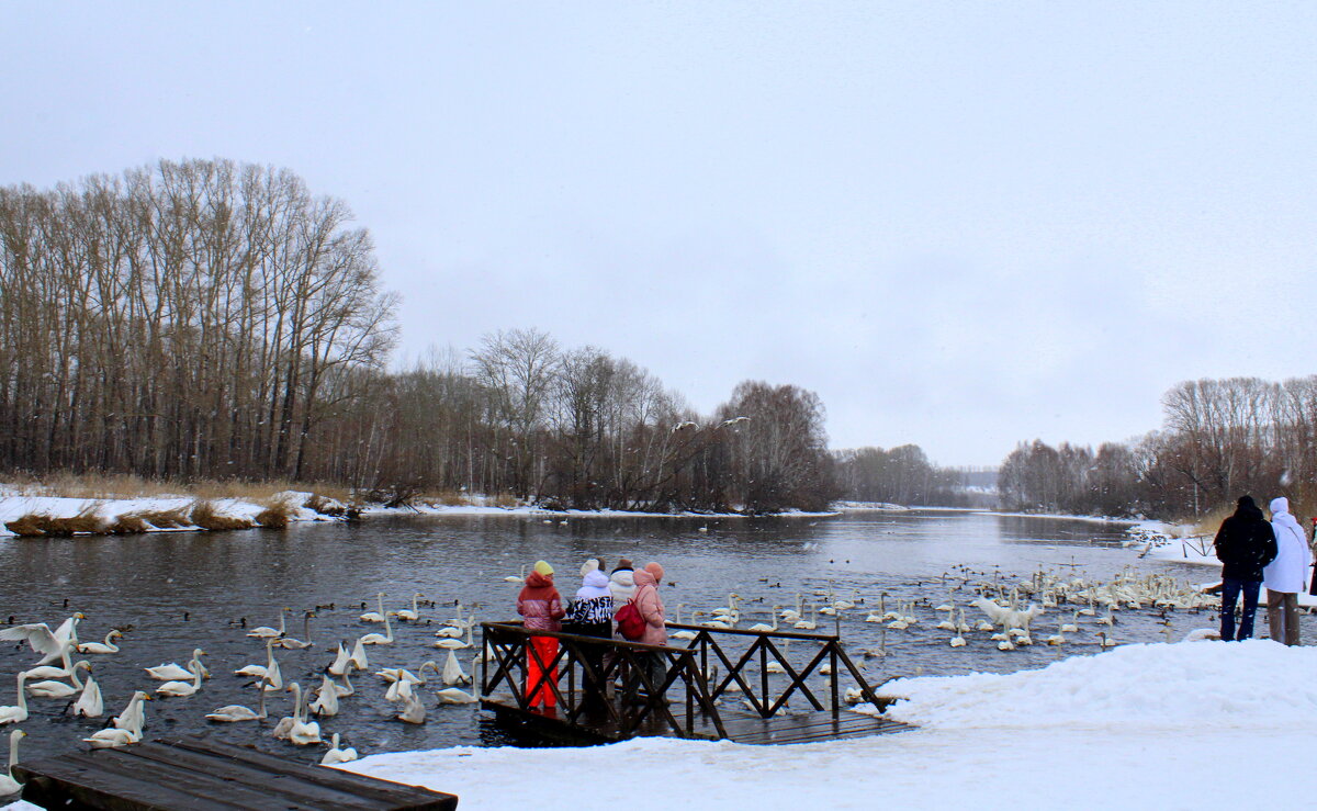 Озеро Светлое - Татьяна Лютаева Озеро Светлое - Татьяна Лютаева