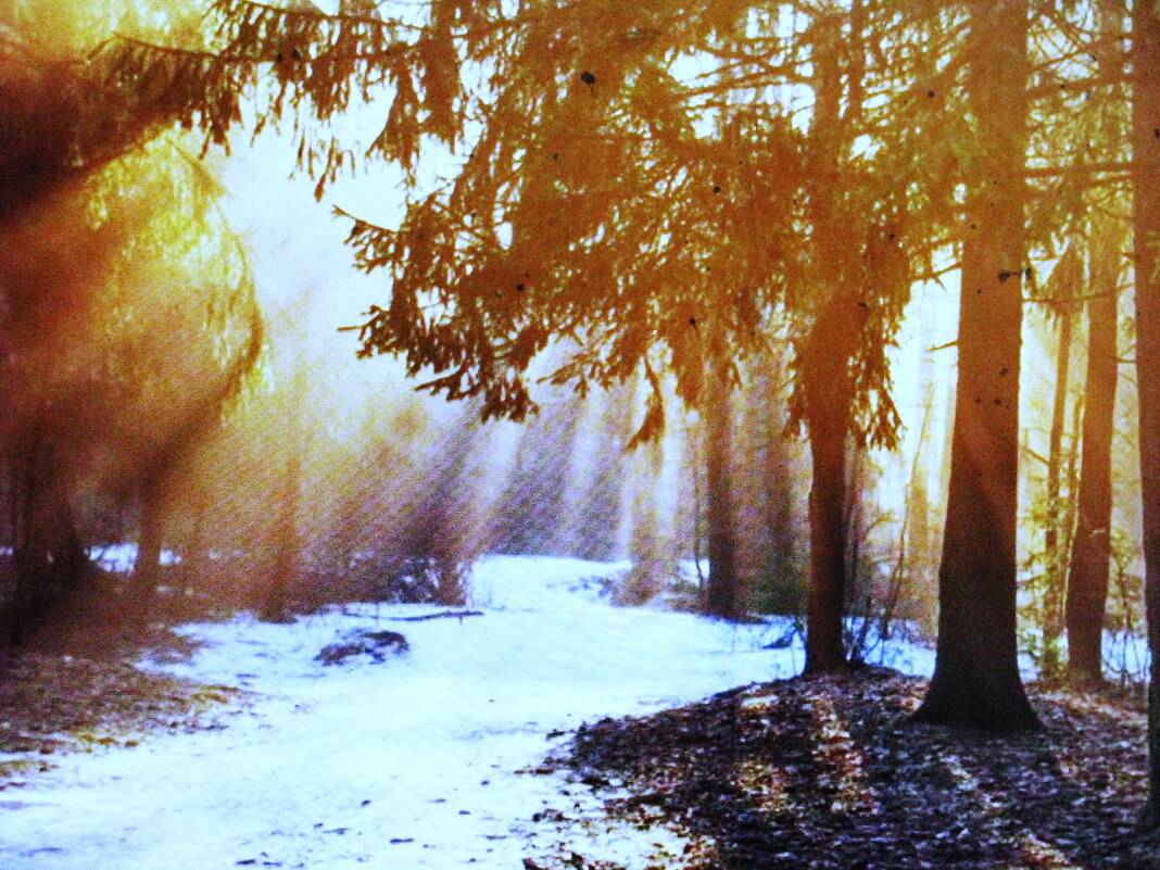 В солнечный денёк - Людмила Смородинская В солнечный денёк - Людмила Смородинская