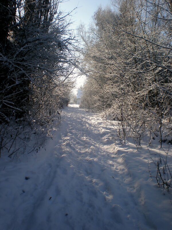 Прогулка по городу - Роман Савоцкий Прогулка по городу - Роман Савоцкий