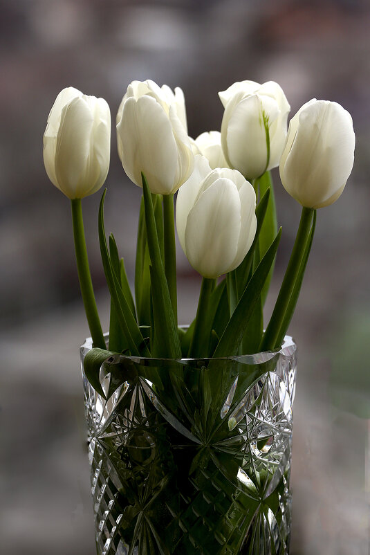 Утренняя фантазия - Леонид Утренняя фантазия - Леонид