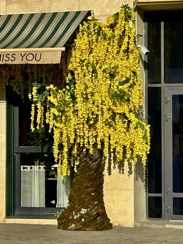 Колорит - Натали 