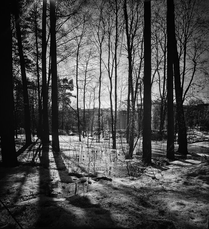 Весна... - Алексей Архипов Весна... - Алексей Архипов