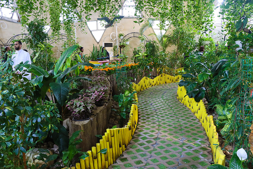 В парке бабочек - Галина Ильясова В парке бабочек - Галина Ильясова