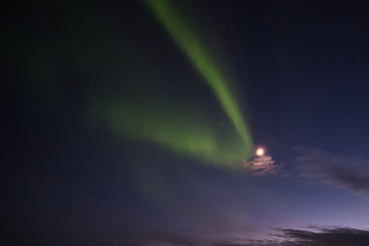 Пазори - Kukka Kivella Олег Степанов Пазори - Kukka Kivella Олег Степанов