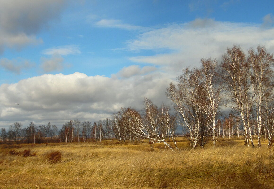 Картина октября. - nadyasilyuk Вознюк Картина октября. - nadyasilyuk Вознюк