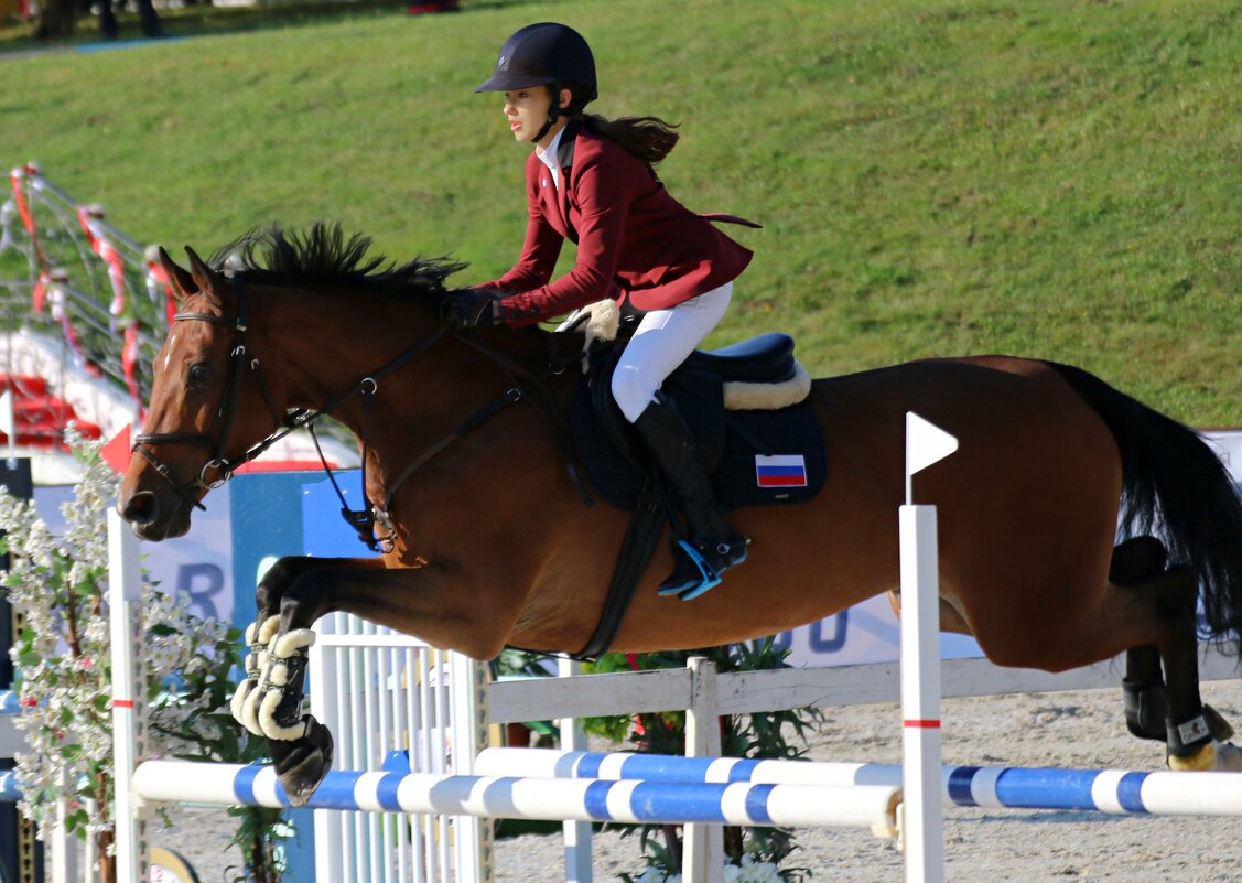 Конкур - Владимир59 