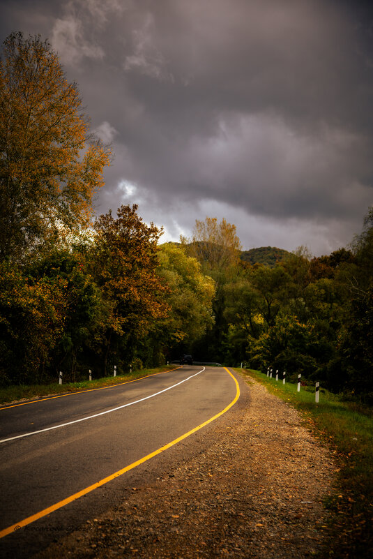 Дыхание осени - Ольга Косачова Дыхание осени - Ольга Косачова