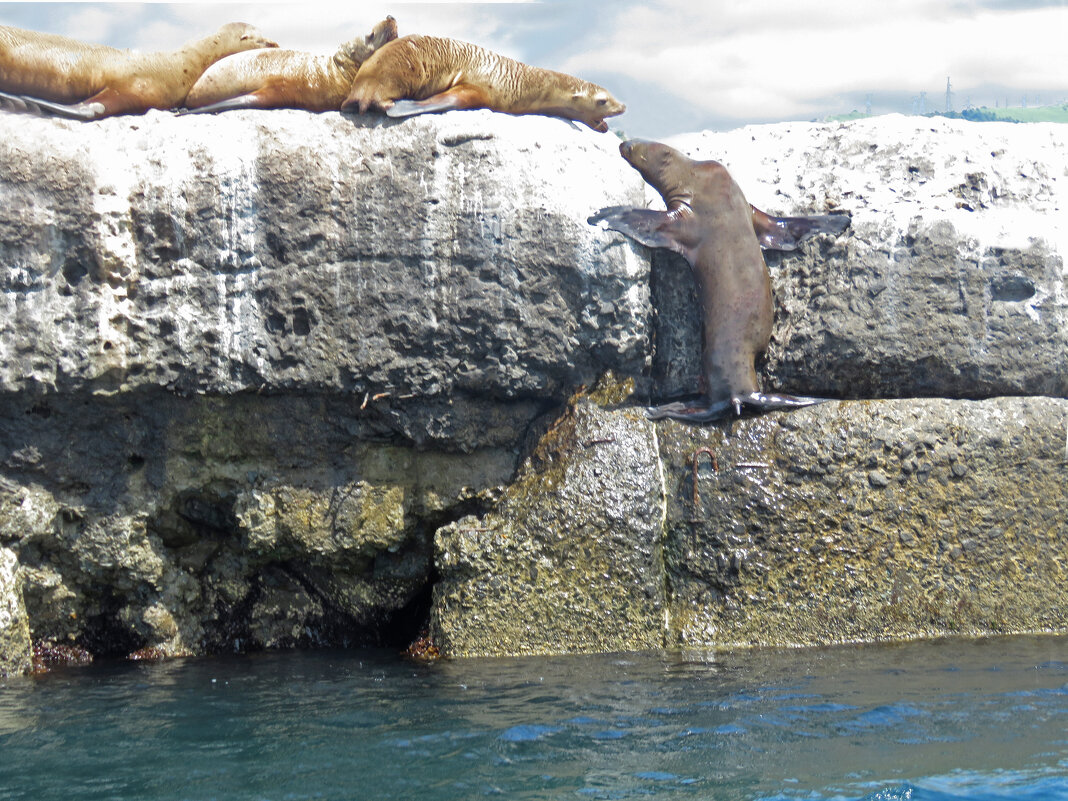 Давай поговорим! - ИРЭН@ . Давай поговорим! - ИРЭН@ .