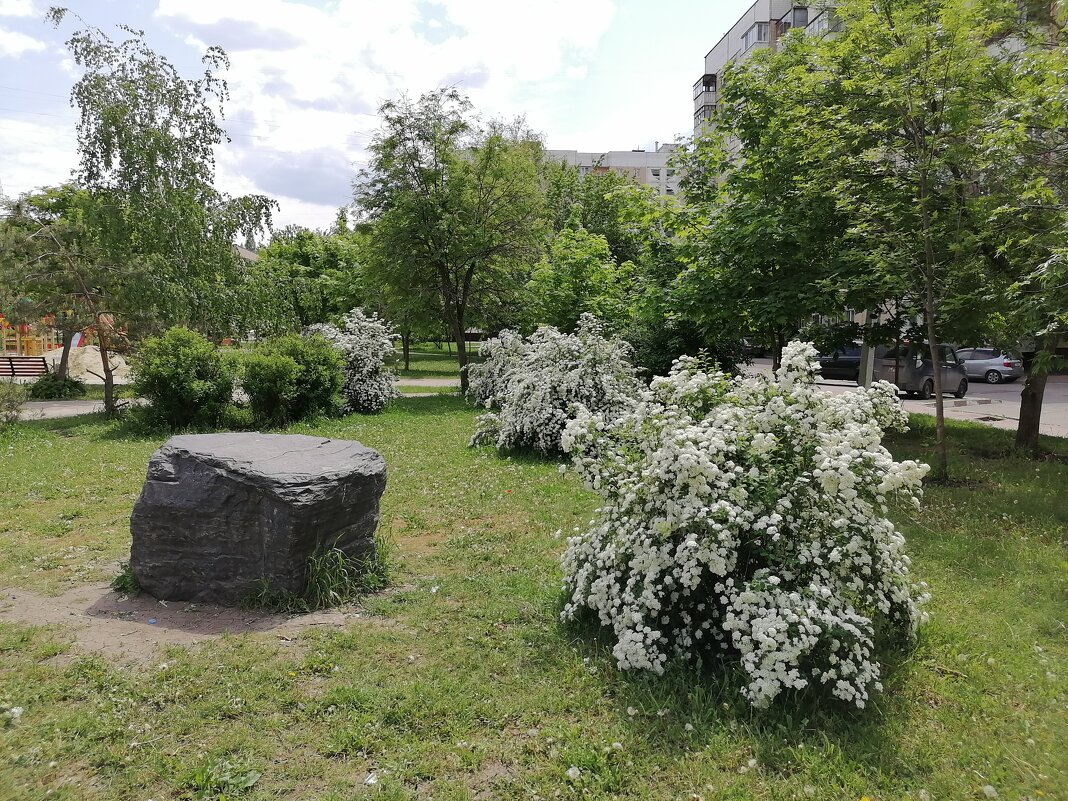 ,,, - Сергей Тимоновский ,,, - Сергей Тимоновский