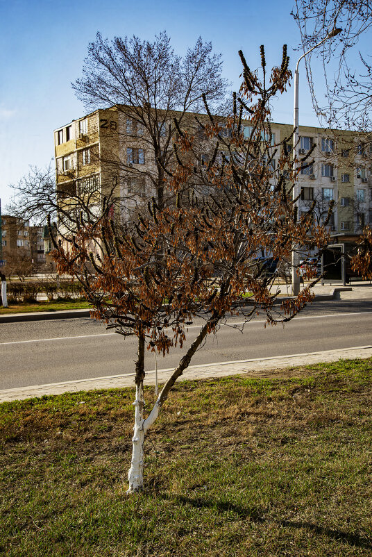 Весна - Анатолий Чикчирный
