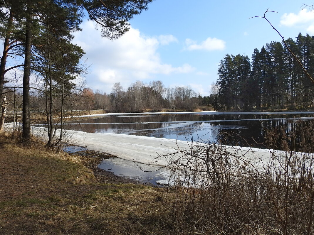 весна - ИННА ПОРОХОВА