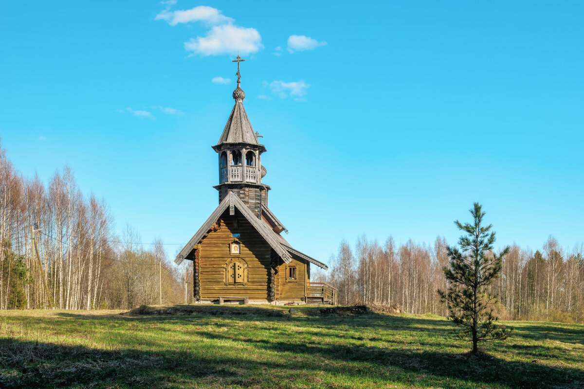 Весна - Владимир Колесников