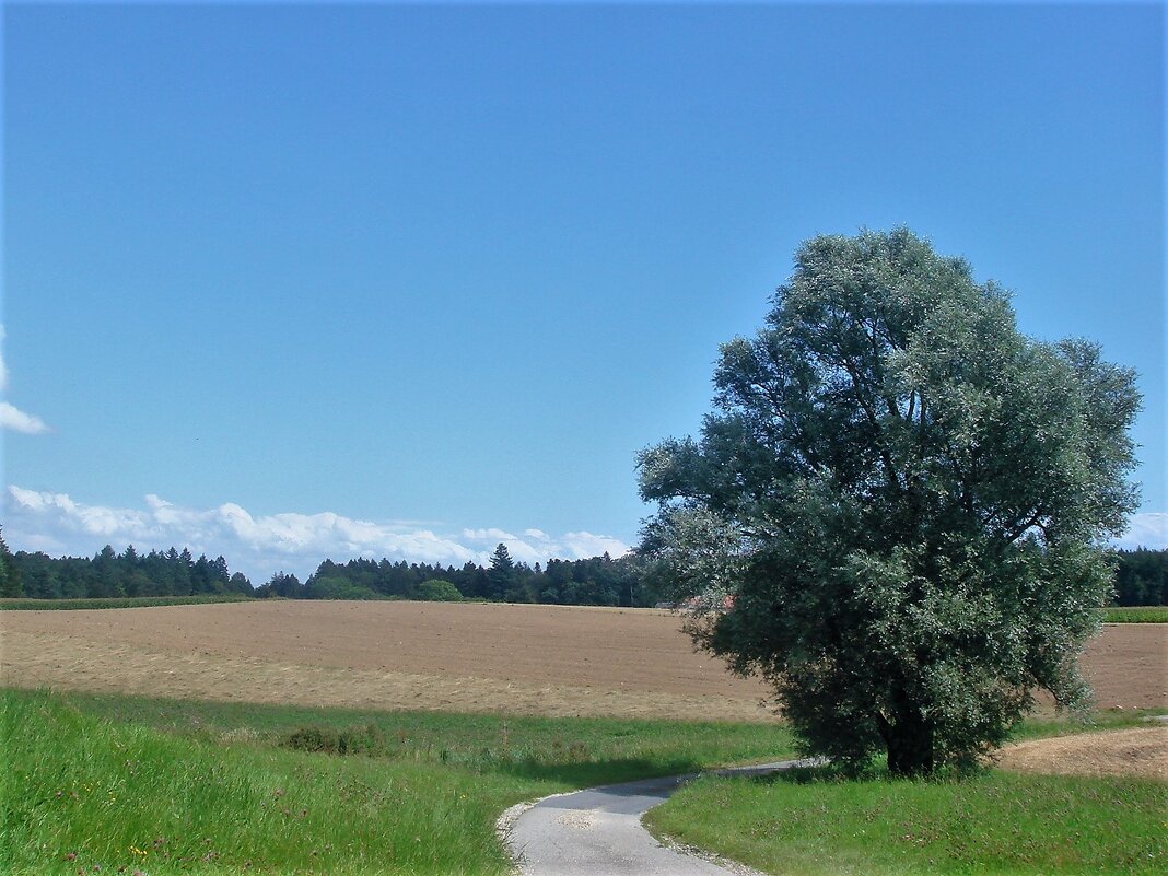 Эссертин-сюр-Роль - Галина 