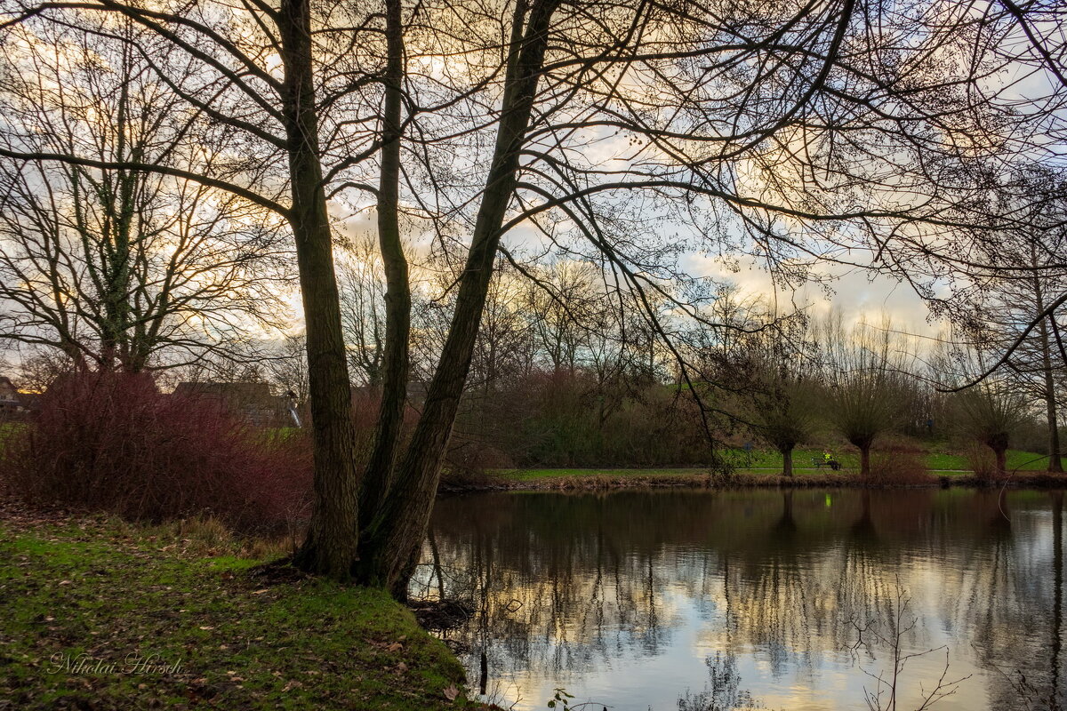 Январское... - Николай Гирш