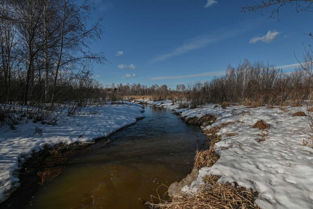 пришла весна - сергей 