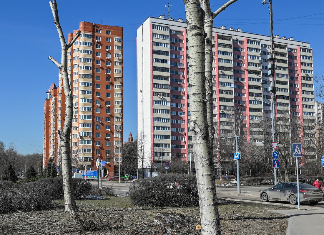 весенний пейзаж - Артемий Канителькин