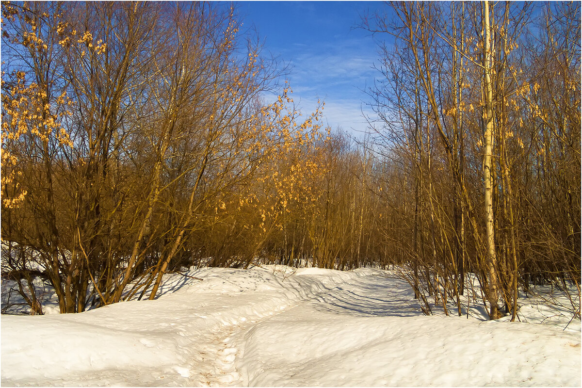 Март - Валентин Котляров