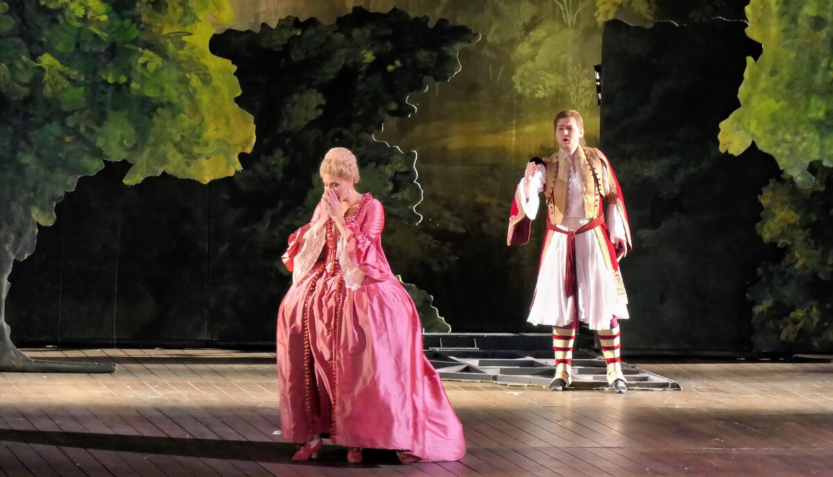 Опера "Так поступают все женщины или Школа влюбленных" - Валерий Судачок