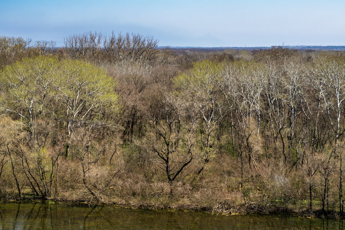 Апрель 2018, Краснодарский край - Игорь Сикорский
