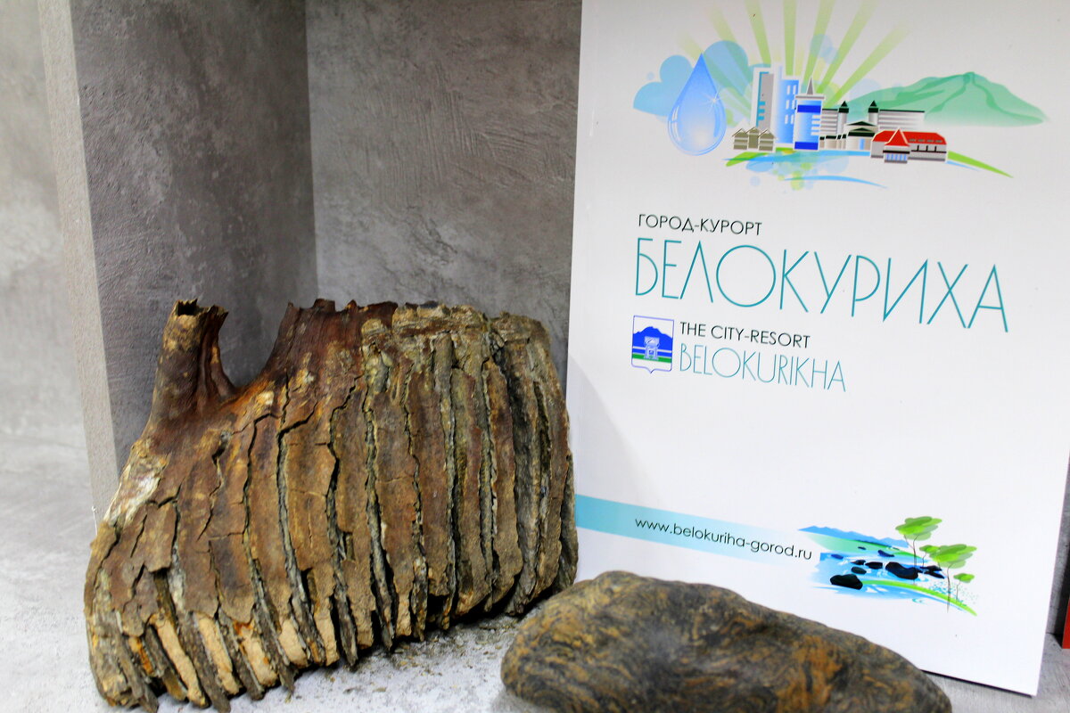 Зуб мамонта в музее СамоSветы - Татьяна Лютаева