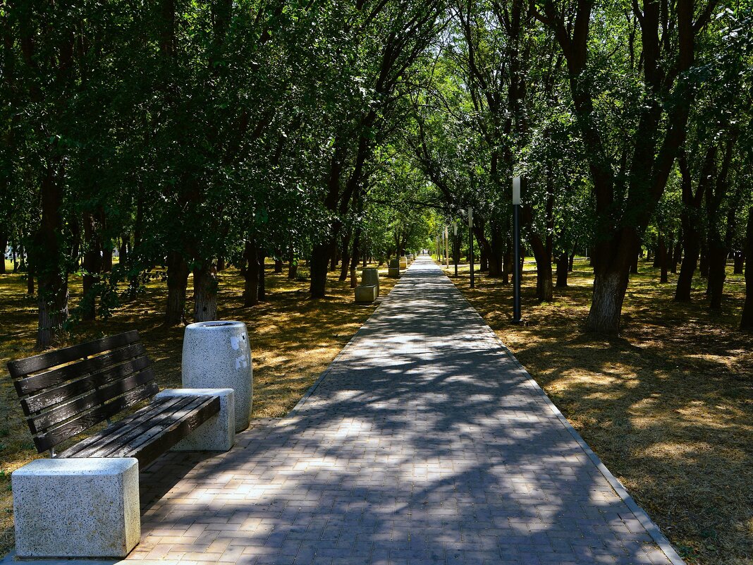 Керчь. В тени летней аллеи Комсомольского парка. - Пётр Чернега