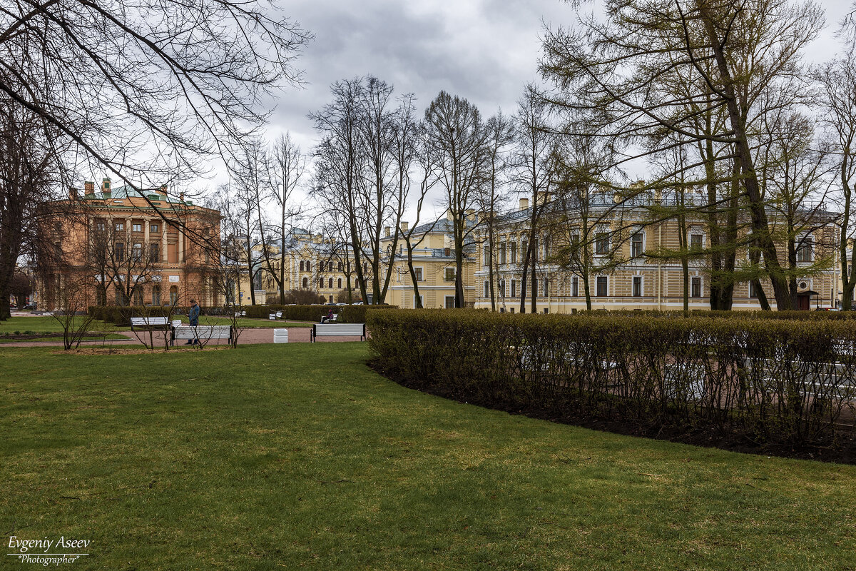 Сквозь кружево ветвей - Евгений 