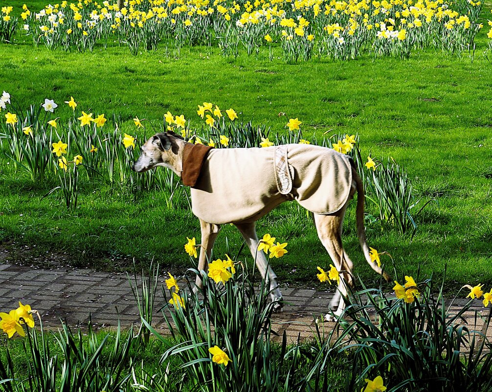 Весна(серия) - Владимир Манкер