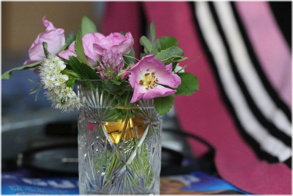 Первый шиповник - ZNatasha -