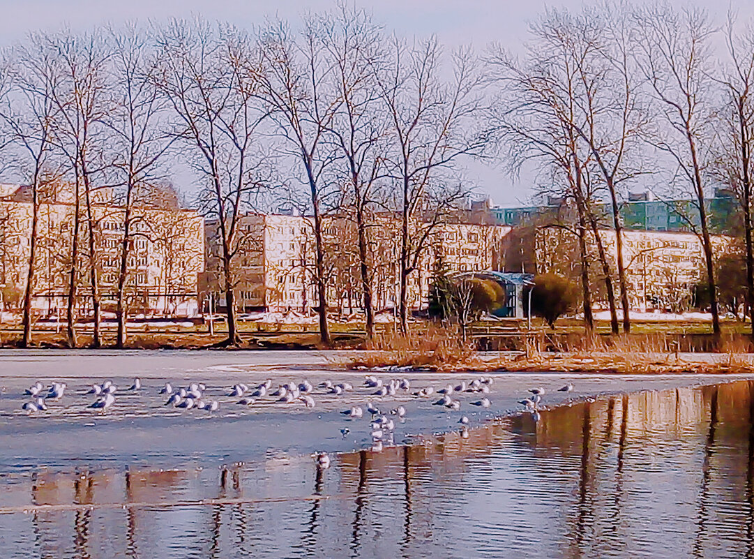 Весенний день на пруду - Сергей Кочнев
