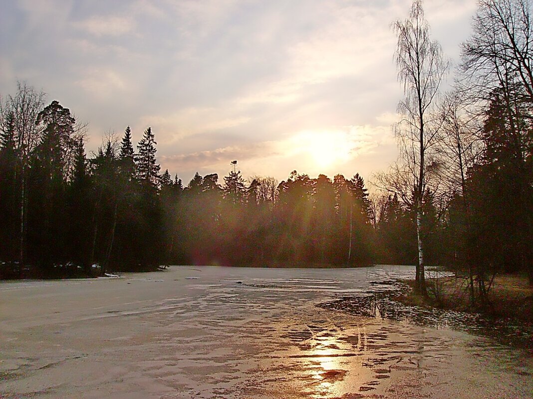 Начало марта... - VasiLina *