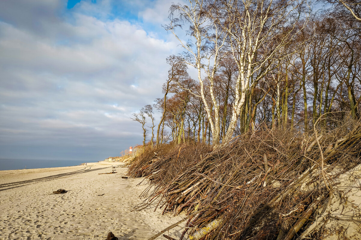 Калининградская область. Куршская коса. - Sergey 