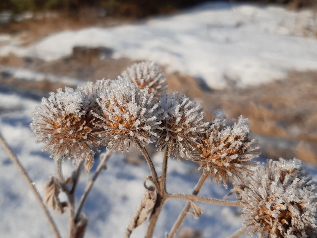 Весна - Галина Минчук