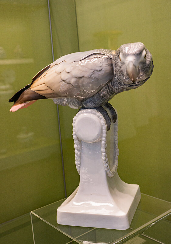 Попугай - Ирина Соловьёва