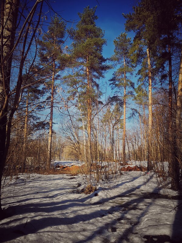 После зимы.. - Алексей Архипов
