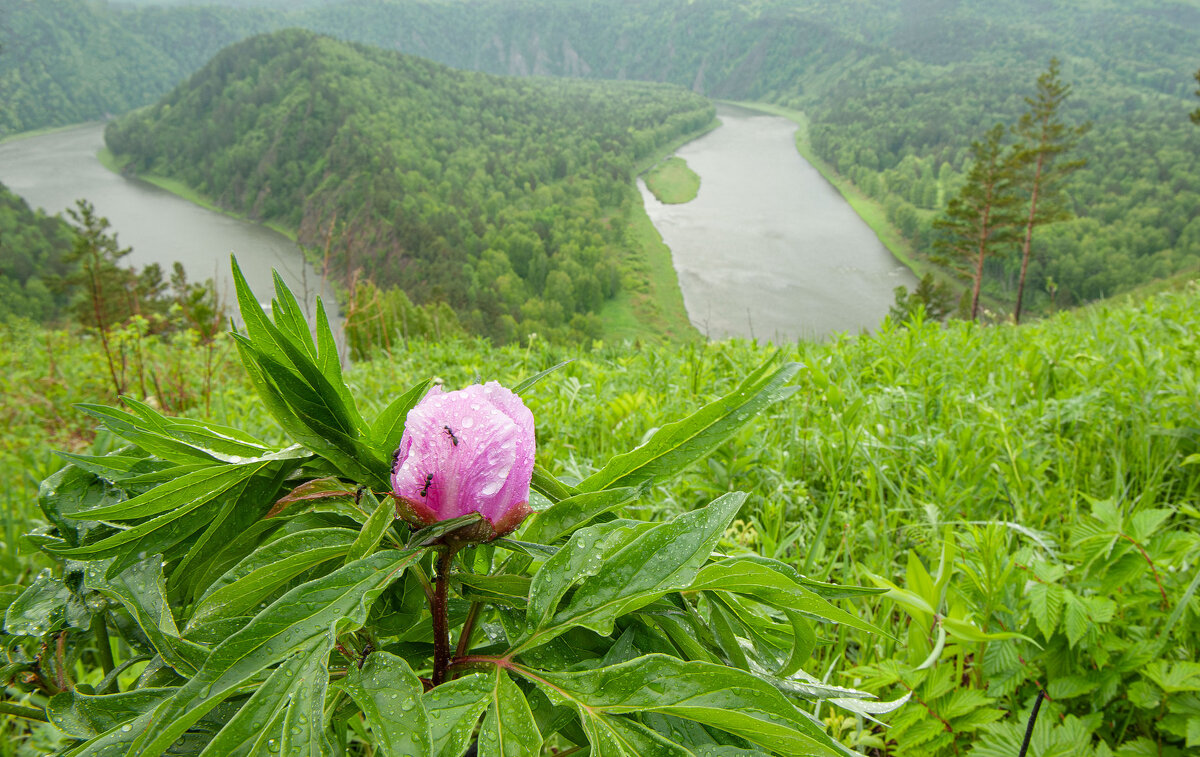 Красивое начало лета - Сергей Герасимов