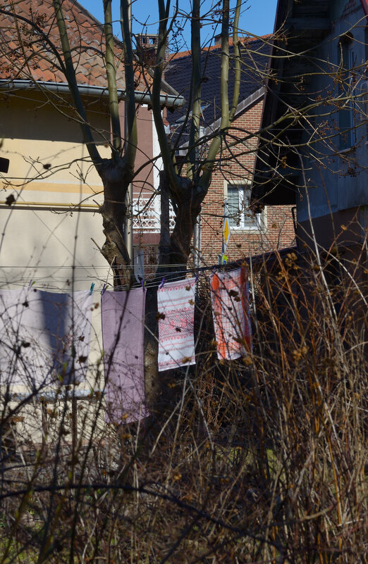 *** - Константин Белоногов