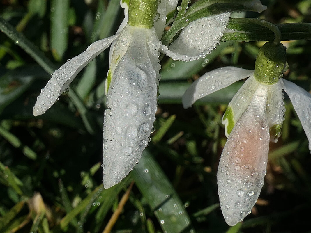 ----------------------------------- - igor G.