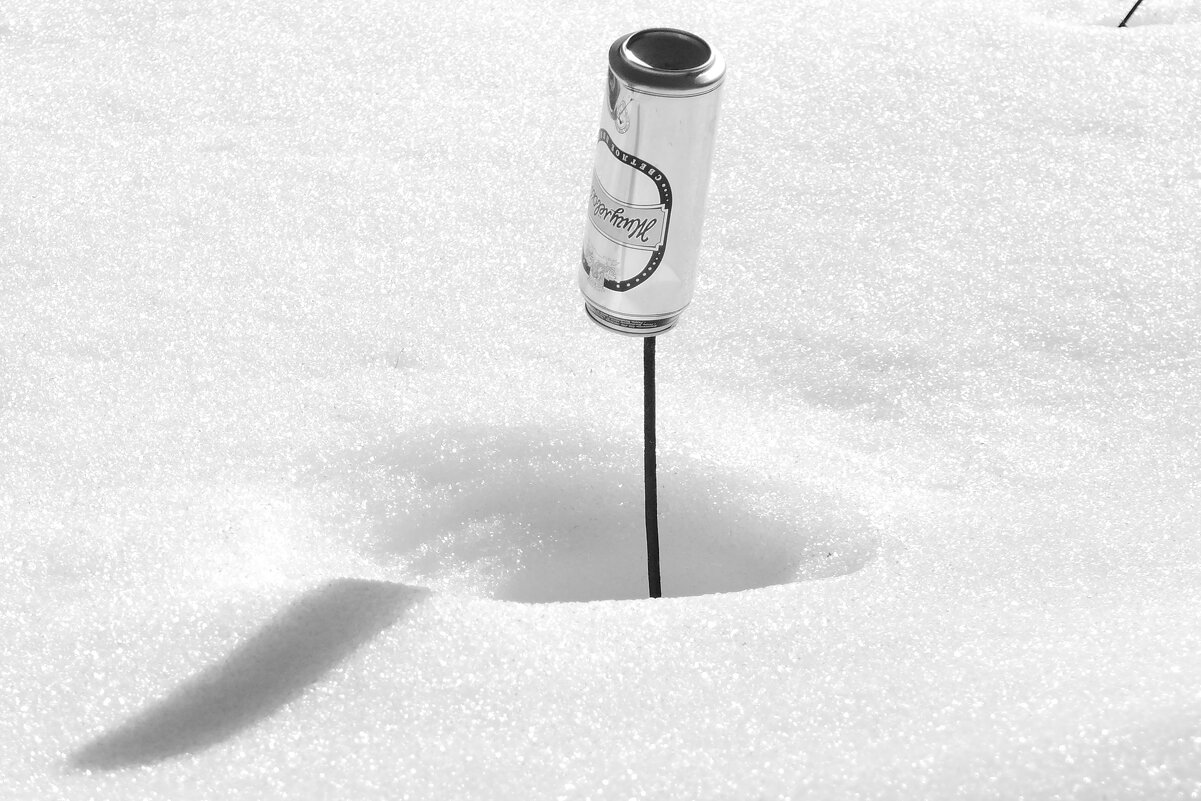 Мечты о ч/б Лейке 67. - Михаил Елочкин