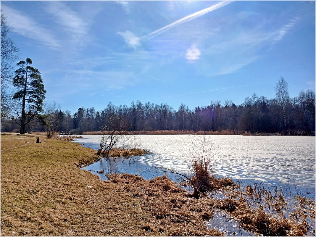 Лёд частично сохраняется только на водоёмах. - Лия ☼
