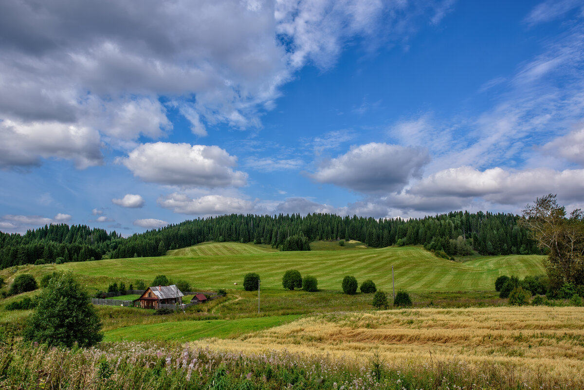 ****** - Вячеслав Овчинников