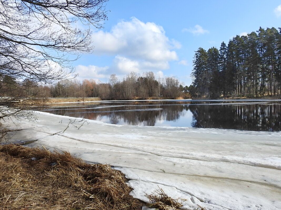 весна - ИННА ПОРОХОВА