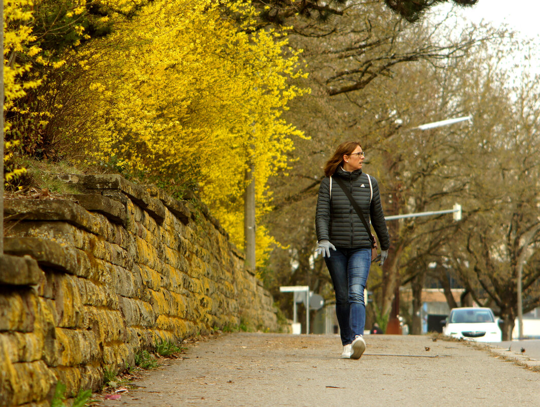 Цветёт форзация - Сергей Порфирьев